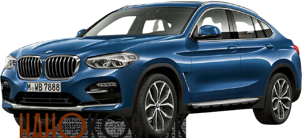 Автомобильные коврики ЭВА (EVA) для BMW X4 II (G02) 2018- 