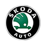 Коврики в машину для Skoda